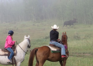 Bull Moose sighting while horseback riding at Snow Mountain Ranch, Colorado